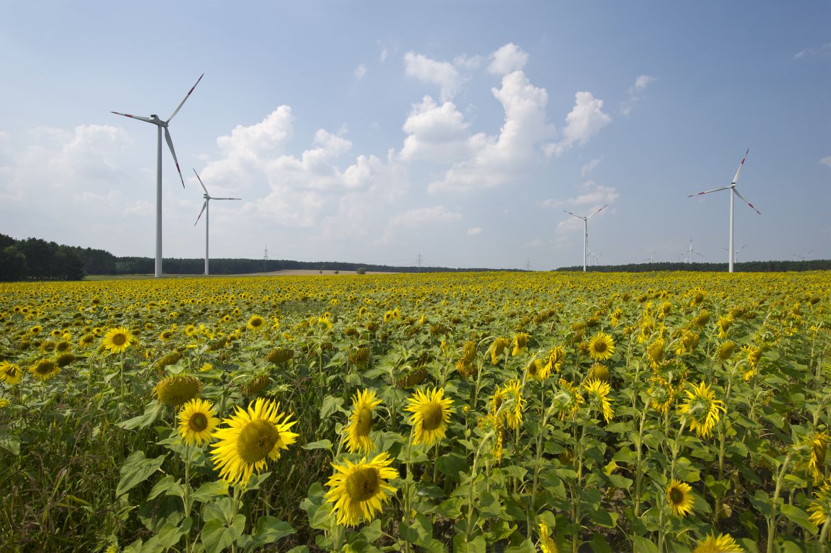 Energie ganzheitlich gedacht